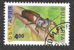 Sellos del Mundo : Europa : Bulgaria : 3713 - Insecto