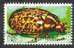 Sellos de Africa - Guinea Ecuatorial -  Yt115B - Dorifora