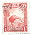 Stamps New Zealand -  aves