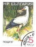 Stamps : Europe : Bulgaria :  aves