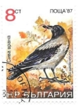Stamps Bulgaria -  aves