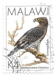 Stamps : Africa : Malawi :  aves