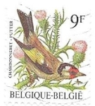 Stamps : Europe : Belgium :  aves