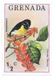 Stamps : America : Grenada :  aves