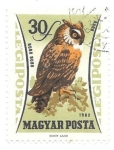 Stamps : Europe : Hungary :  aves
