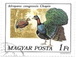 Stamps Hungary -  aves