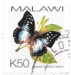 Stamps : Africa : Malawi :  insectos