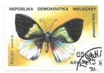 Stamps Madagascar -  insectos