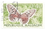 Stamps : Africa : Madagascar :  insectos