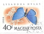 Stamps Hungary -  insectos