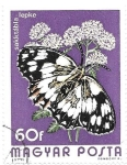 Stamps Hungary -  insectos