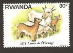 Sellos de Africa - Rwanda -  898