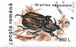 Stamps : Europe : Romania :  insectos