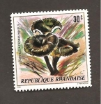 Stamps Rwanda -  976