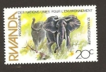 Sellos de Africa - Rwanda -  1112