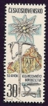 Stamps Czechoslovakia -  50 años Organización escalada Alpina - flor edelweiss