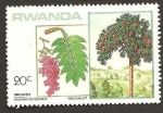 Stamps : Africa : Rwanda :  1167