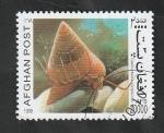 Stamps Afghanistan -  Calliostoma ziziphinus