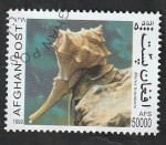 Stamps Afghanistan -  Murex brandaris