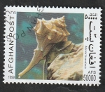 Sellos de Asia - Afganistn -  Murex brandaris