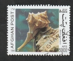 Stamps Afghanistan -  Murex brandaris