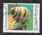 Stamps Afghanistan -  Viviparus contectus
