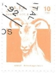 Stamps Morocco -  fauna