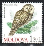 Stamps Moldova -  AVES.  STRIX  URALENIS  PALLAS.