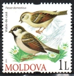 Stamps Moldova -  AVES.  PASSER  DOMESTICUS.