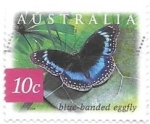 Stamps : Oceania : Australia :  insectos