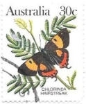 Stamps Australia -  insectos