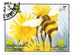 Stamps United Arab Emirates -  insectos
