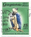 Stamps : America : Guyana :  aves