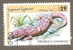 Sellos de Africa - Marruecos -  SC0