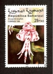 Stamps : Africa : Morocco :  SC11