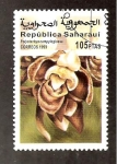Stamps Morocco -  SC12