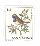 Stamps : Europe : San_Marino :  Ave. Luscinia Svecica