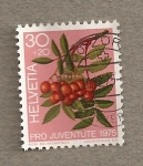 Stamps Switzerland -  Frutos del bosque Pro Juventute