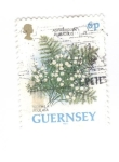 Stamps United Kingdom -  Paniculata