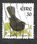 Stamps Ireland -  1113 - Mirlo