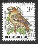 Stamps Belgium -  1219 - Pico Gordo Común