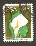 Stamps South Africa -  411