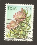 Stamps South Africa -  476
