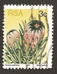 Stamps South Africa -  477