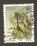 Stamps South Africa -  478