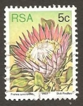Stamps South Africa -  479