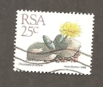 Stamps South Africa -  744