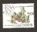 Stamps South Africa -  745