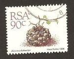 Stamps South Africa -  750
