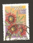 Stamps South Africa -  1315
